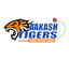 Aakash Tigers MWS Flag