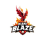 Miami Blaze Flag
